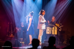 czarnykotstudio-barwykultury-030
