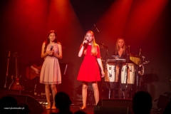 czarnykotstudio-barwykultury-131